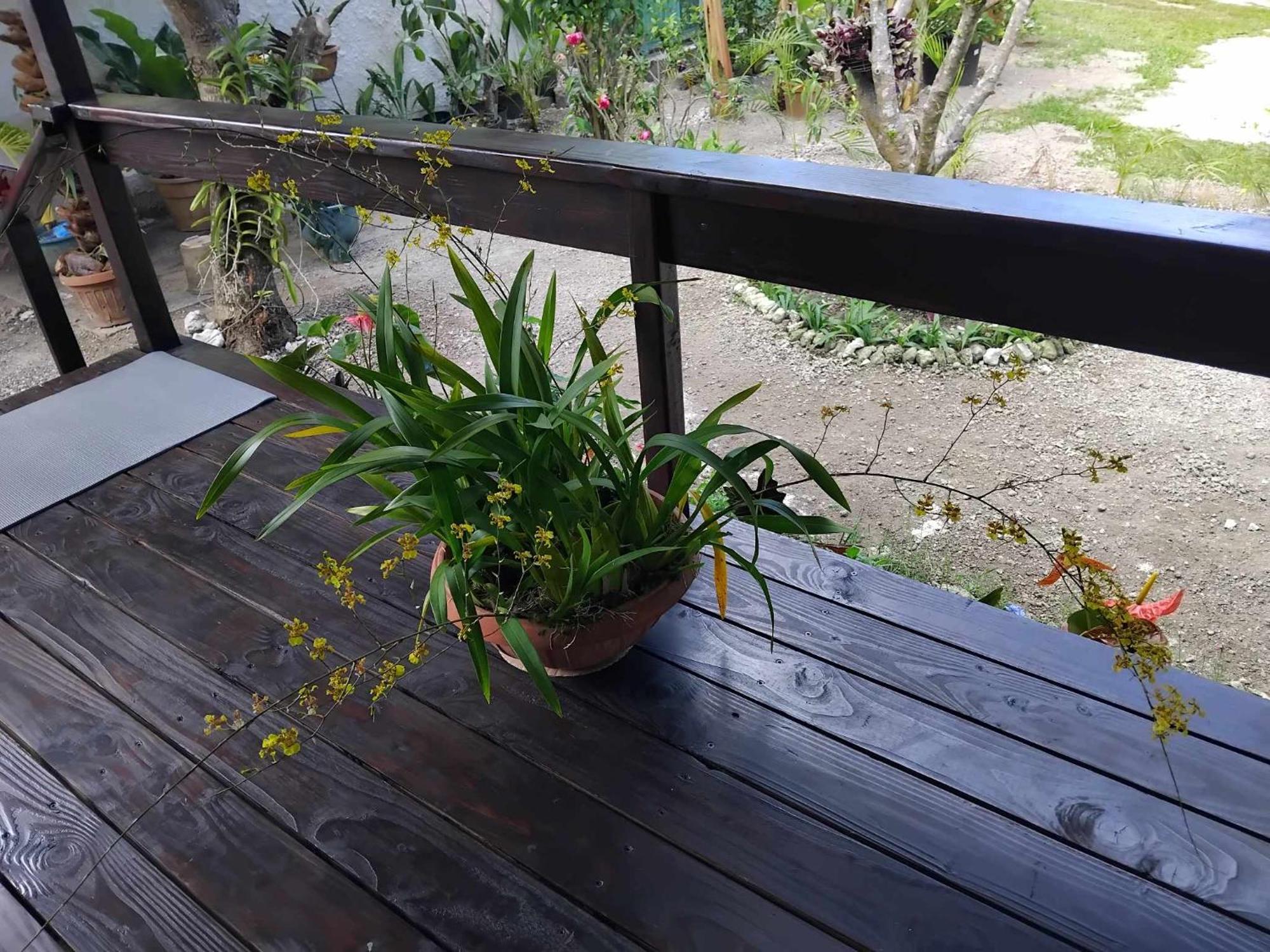 Villa Fare Anuhe à Bora Bora Extérieur photo